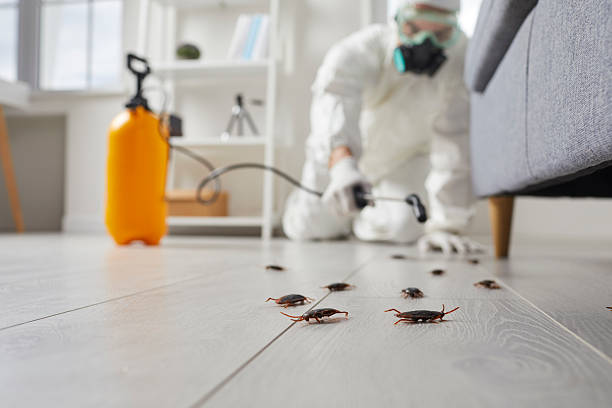 Commercial Kitchen Cockroach Control in Lexington